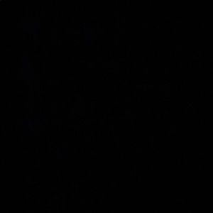 Meet your Posher, Rigoberto